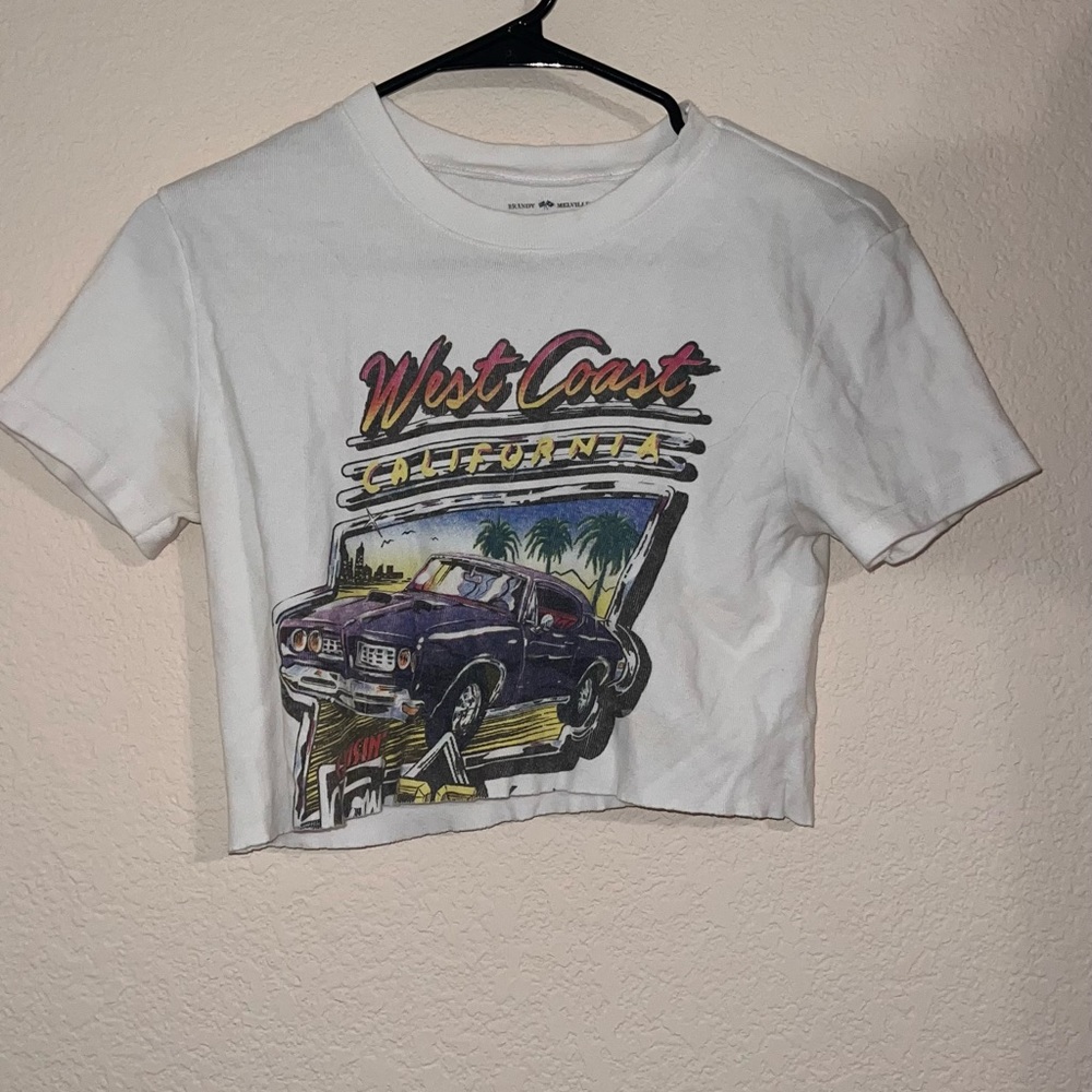 Small Brandy Melville Cropped Tee